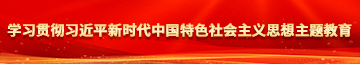 免费观看艹b视频网站入口学习贯彻习近平新时代中国特色社会主义思想主题教育